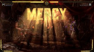 Merciful Fighter.jpeg