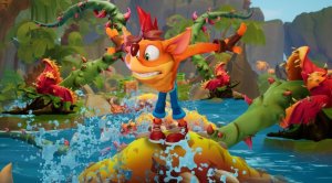 The Fashionista.jpeg