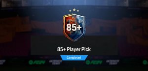Bronze to Gold.jpeg